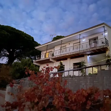 Domenech Montnegre *