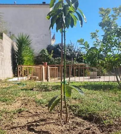 Domenech Montnegre Vakantiehuis *